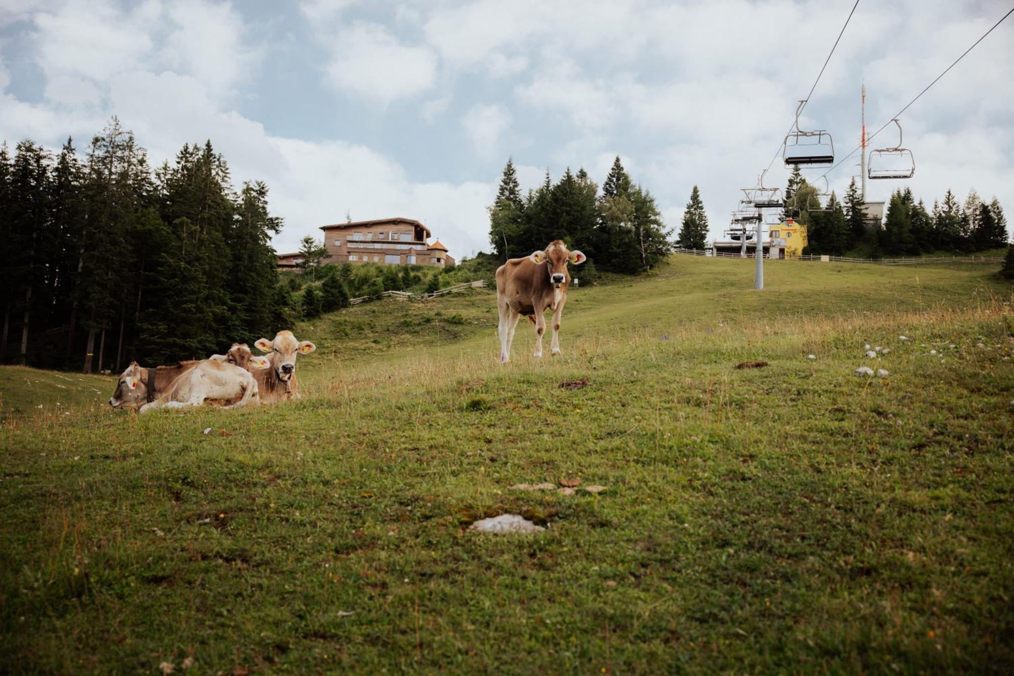 Chalet G12 - Mountain Luxury Apartments Seefeld in Tirol Exteriör bild