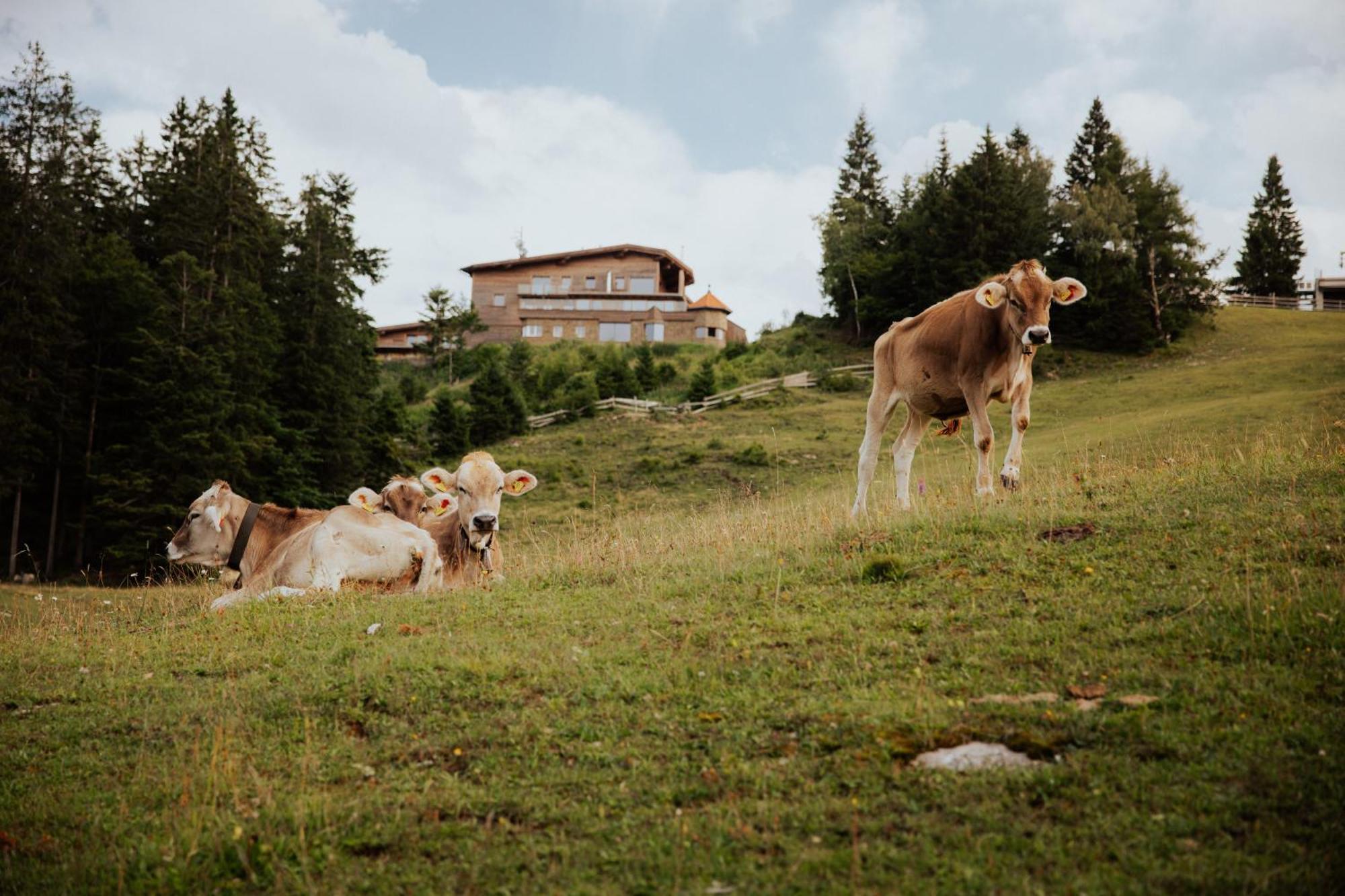 Chalet G12 - Mountain Luxury Apartments Seefeld in Tirol Exteriör bild